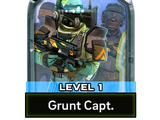 Grunt Capt.