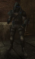 General appearance of enemy Pilots of this sniper/surprise-attack class