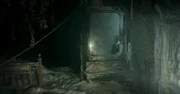 The current condition of Cabin A-11, as seen in 