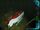Dive to the Titanic Nephron Submarine searching the Wreck.jpg