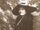Helen Monypenny Newsom