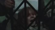 Screaming when the water engulfs the family