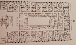 C-7location