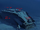 Bow section wreck.png