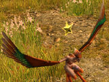 Ocypete the Swiftwing - Harpy Hero