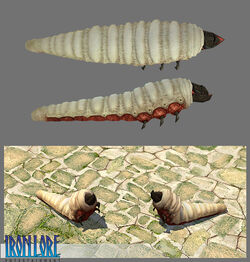 IL CryptWorm TQ 01