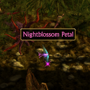 Nightblossom Petal