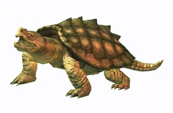 Giant Turtle