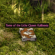 Tome of the Liche Queen Kallixenia