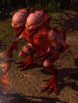 Hydradon