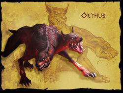 Orthus