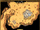Fayum Desert