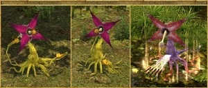 Quill Vines and Nightblossom (right)