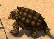 Giant Turtle Salt Snapper.png (504 KB) Salt Snapper