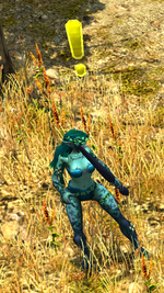 Pegaea
