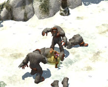 Yeti
