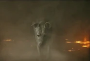 Titans-3x03-krypto.png (227 kio)