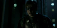 Robin