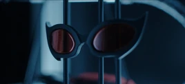 Catwoman's Googles