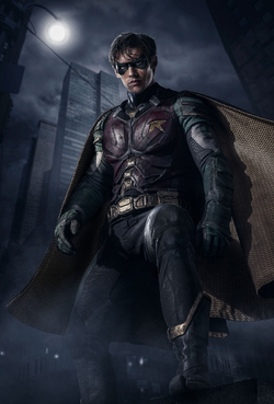 Robin full-body promotional image