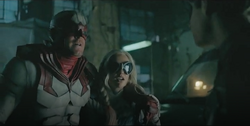 Hawk, Dove and Robin