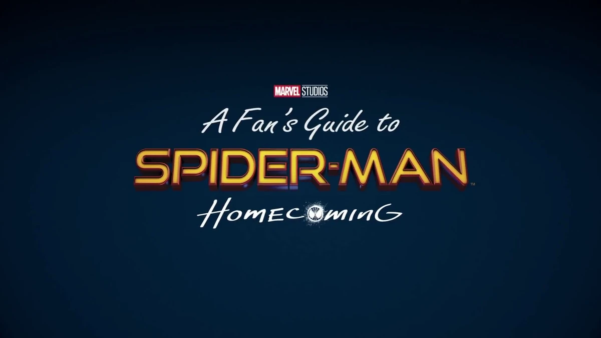 A Fan's Guide to SpiderMan Title Cards Wiki Fandom