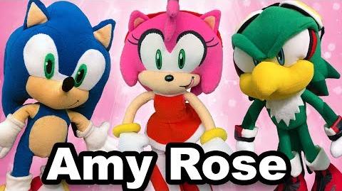 Amy Rose, Titototter Wiki