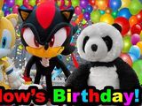 Shadow's Birthday!