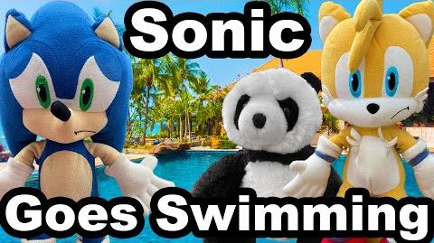 Hedgehogs Can't Swim: November 2019