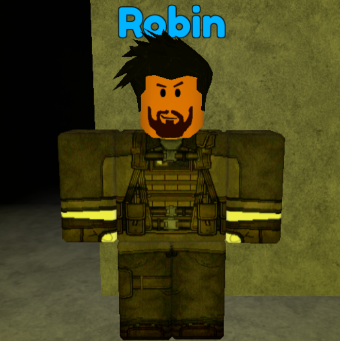 robin roblox avatar