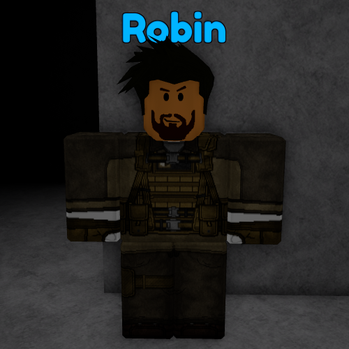 robin roblox avatar