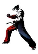 Jin Kazama (Tekken Tag Tournament 2) 4