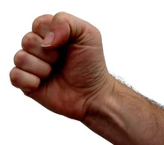 A human fist, for when fisticuffs are inevitable