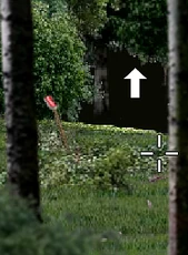 Wfnrredcan+stick.png (165 KB) The stick with the red can in the fourth section (the path to the right leads to the sixth section)