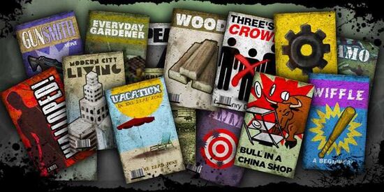 An assortment of books from The Last Stand: Dead Zone.