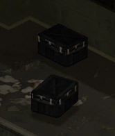 A pair of black footlockers (TLS:DZ)
