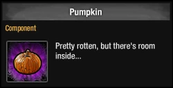 Pumpkin 2014