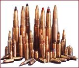 Ammunition Variety