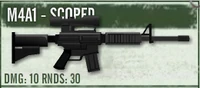 Scoped variant