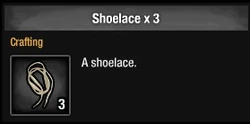 Shoelace