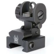 An iron sight in real life.