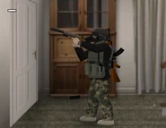 Survivor packing a Suppressed variant