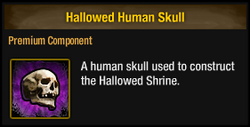 Hallowed Human Skull
