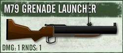 M79 updated sdw