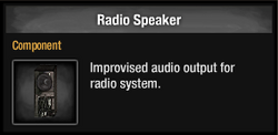 Radio Speaker