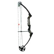 A compound bow in real life