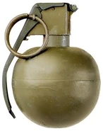The M67 Grenade, one of many available Hand Grenades