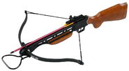 A modern crossbow in real life