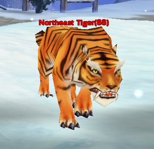 Northeast Tiger