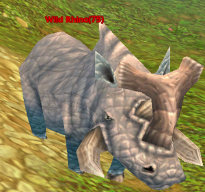 Wild Rhino